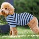 thumbnail image 5 of unbranded Ropa Para Mascotas Camisa Azul De Transpirable Ideal Para Perro Pequeño, 5 of 8