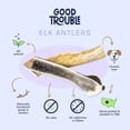 thumbnail image 5 of Large Split Premium Wild Elk Antlers (2-Pack) Bones for Dogs by Good Trouble Pets, 5 of 10