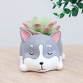 thumbnail image 4 of Dogs Desktop Succulent Plants Flower Pot Home Office Garden Bonsai Planter, 4 of 7