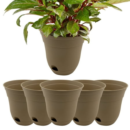 Suncast 6 Pack Self Watering Succulent 7 Planter For Indoor Suncast 6 Pack Self Watering Succulent 7 Planter For Indoor Plants Herb Garden