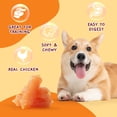 thumbnail image 5 of Jungle Calling Chicken Sausage Dog Treats Chicken Jerky Training Treats, Slow Roasted Snacks for Medium and Large Dogs Chewy Treats, 5 of 10