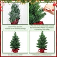 thumbnail image 3 of Árbol de Navidad artificial con cenna apagada de 40 cm con base x12, 3 of 6