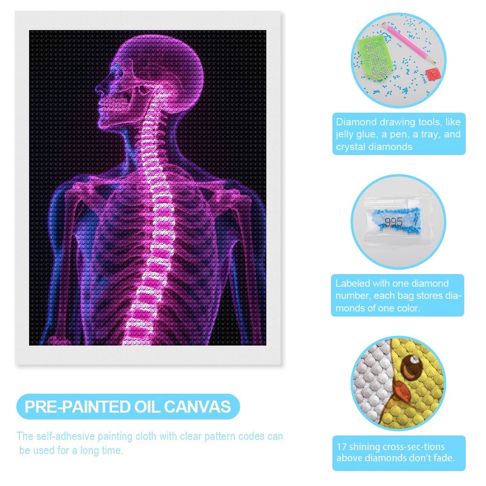 Diamond Art Kits for Adults - Skeleton Spine Anatomy Xray Glow 5d Diamond Painting for Adults, Diamond Art for Adults Beginners, Frameless Diamond Painting Kits for Adults for Home Wall Decor