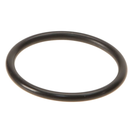 Victor Reinz Water Flange O-Ring
