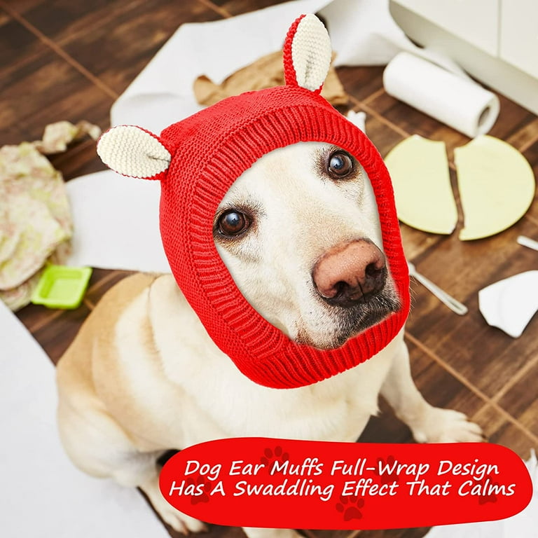 Why Are My Dogs Ears Warm And Red