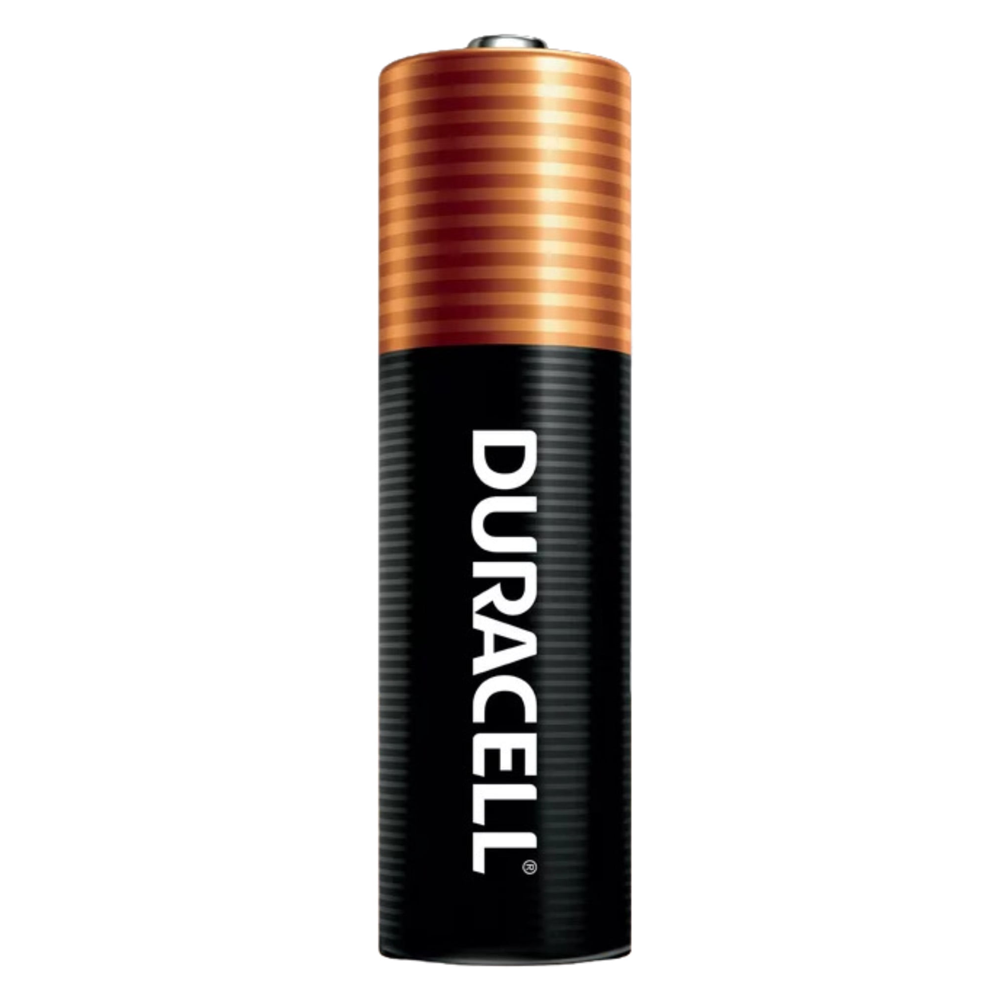 DURACELL Duralock AA 1.5-Volt Alkaline Batteries for Power (2 x 20 Pack)