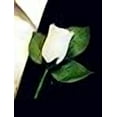 thumbnail image 3 of Angel Isabella Classic Rose Boutonniere with Very Nice Vein Pattern Printed Leaf. Pin Included (White), 3 of 3