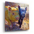 thumbnail image 2 of Epic Art 'Piggy Pals2 by Rita Kirkman, Acrylic Glass Wall Art, 24" x 24", 2 of 8