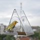 thumbnail image 3 of Comedero para pájaros de acrílico transparente con ventosas, bandeja extraíble para semillas Sincero Electrónica, 3 of 5