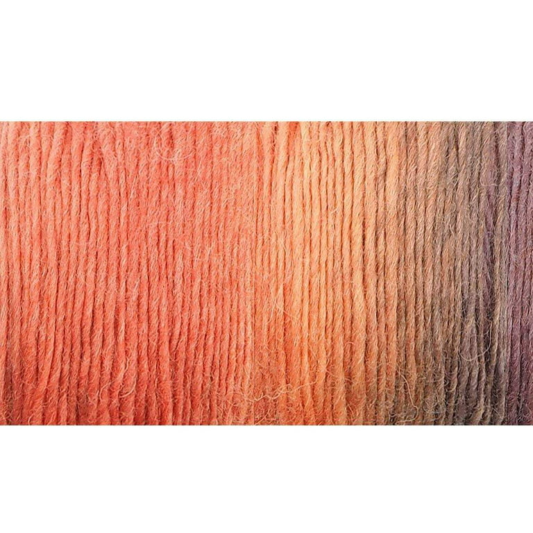 NICEEC 2 Skeins Rainbow Soft Yarn 100% Wool Gradient Multi Color Yarn for Crocheting Knit Total Length 180m×2(196yds×2,50g×2)-11