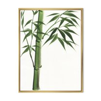 Designart 'Detail Of Dark Green Bamboo On White III' Traditional Framed Canvas Wall Art Print