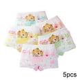thumbnail image 2 of LYMAYTER Girls Boxer Briefs for Kids Toddler 5PCS Soft Cotton Underwear Baby Cartoon Comfty Princess Soft Boxer Briefs 2-12 Yeas Old, 2 of 7