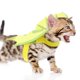 thumbnail image 5 of Disfraz de mascota de Halloween Disfraz de cosplay para perros y gatos Accesorios de cosplay de Halloween, 5 of 8