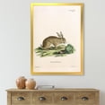 thumbnail image 3 of Designart 'Ancient Rabbits In Earth Tones' Farmhouse Framed Art Print, 3 of 4