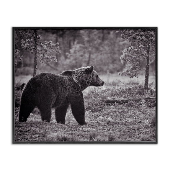 Stupell Industries Farmhouse Bear Stepping in Forest Black Framed Giclee Art, 14 x 11, by Jasper Huish