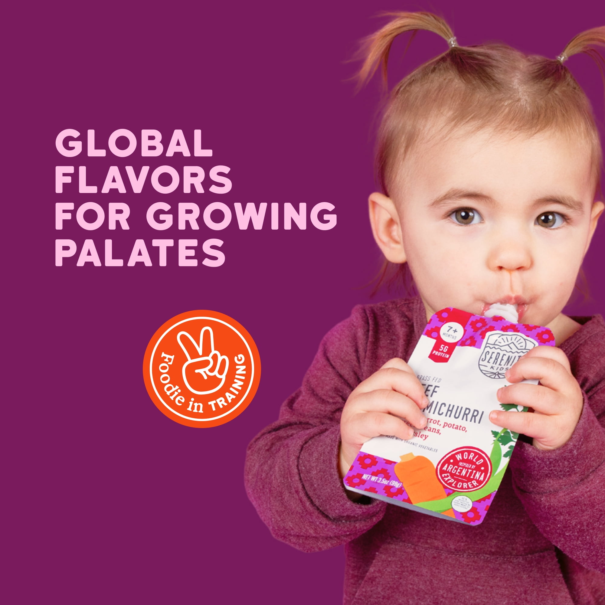 (12 pack) Serenity Kids World Explorer Grass Fed Beef Chimichurri with Organic Vegetables Stage 2 Baby Food Pouch - 3.5oz
