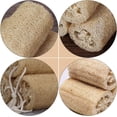 thumbnail image 3 of Esponja de lufa natural para ducha TUNC Exfoliante orgánico de lufa 6 piezas, 3 of 5