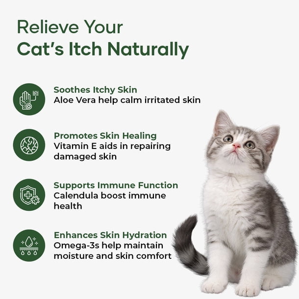 Aniwell Feline Itch Relief Chews | Aloe Vera & Omega-3 | Cat Itchy Skin & Allergy Support | Seasonal Itch Relief for Cats | All Ages & Breeds