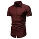 thumbnail image 1 of pstuiky camisetas para hombre, Camisa informal de manga corta con solapa y botones de color liso para hombre ropa de hombre l, 1 of 2