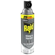 Raid Wasp & Hornet Killer Spray, 22 Ft Jet Spray Nest Killer, Outdoor, 17.5 oz