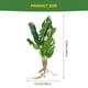 thumbnail image 5 of NUOLUX 1Ud Planta Decorativa Artificial Con Hojas Simuladas Para Fiestas Banquetes Y Hogar, 5 of 6