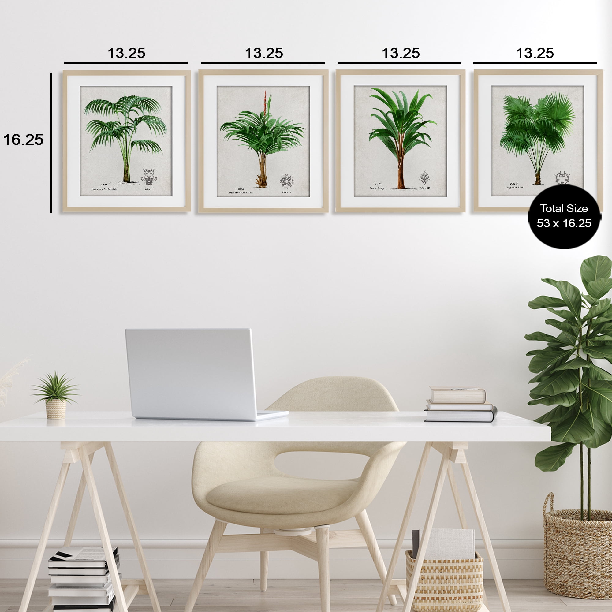 Stupell Industries Palm Varieties Studies 4 Piece Birch Framed Print Under Glass Set, design by Natalie Carpentieri