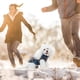 thumbnail image 5 of Ropa Impermeable Para Perros, Chaqueta De Invierno Para Mascotas Con Arnés, Chaleco Cálido A Prueba De Viento Para Perros Pequeños, Abrigo Para Cachorros, Ropa Para Mascotas Yuarrent PT002758-05, 5 of 6