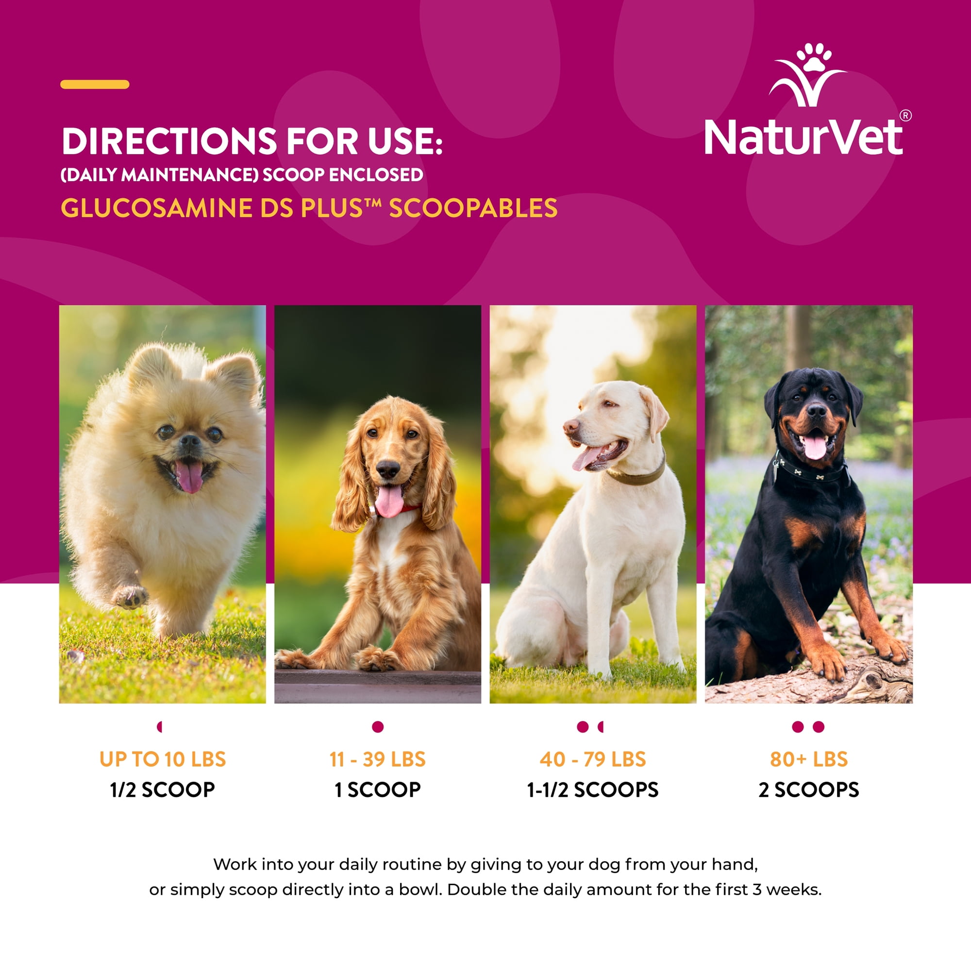 NaturVet Scoopables Glucosamine DS Plus Dog Supplements