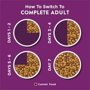 Purina Dog Chow Complete Dry Dog Food for Adult Dogs High Protein, Lamb, 18.5 lb Bag