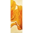 thumbnail image 3 of Frederiks, Beatrix 11x24 Black Modern Framed Museum Art Print Titled - Tulips in Tryptichon II, 3 of 5