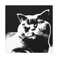 thumbnail image 1 of Pop Britannia Cat Portrait - Canvas, 1 of 10