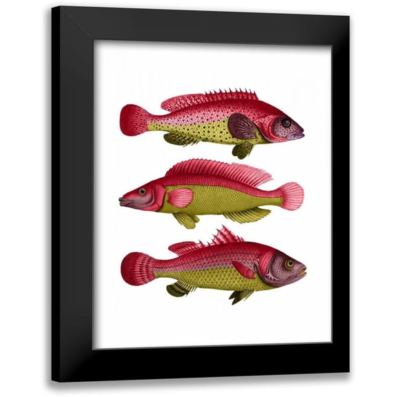 Fab Funky 12x14 Black Modern Framed Museum Art Print Titled - Red and Yellow Fantasy Fish Trio