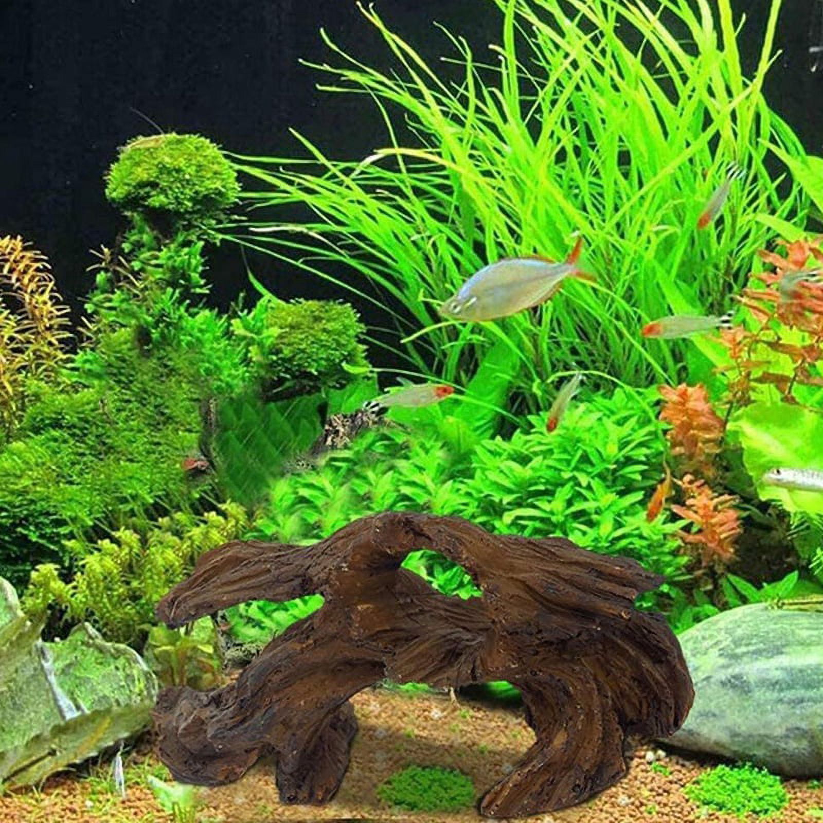 Large Natural Driftwood Branches Reptiles Aquarium Fish Tank Decoration Fish Tank Cave Hideout Wood Decor Driftwood