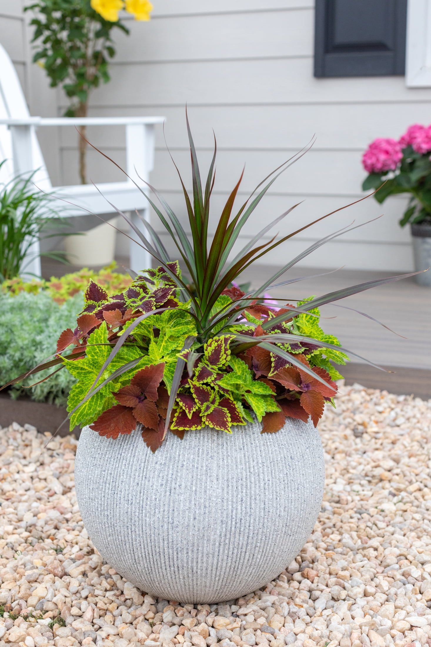 Better Homes & Gardens 1.5gal Orange Yellow Coleus Live Annual Plant Sun