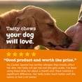 thumbnail image 6 of Zesty Paws Allergy & Immune Bites Salmon Flavor Dog Supplement, 160 Count, 6 of 9