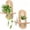 Natural, variant on NOUGFVZP 1-Pack Floating Shelves for Wall, Boho Rattan Plant Shelf, Mid Century Small Decorative Shelf Wall-Mounted, Natural Wood Shelves for Living Room,Bedroom,Nursey Room (Walnut)