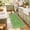 Green, variant on Lecolaco 2’x3' Floral Cat Small Area Rug, Washable Indoor Door Mat, Soft Low-Pile Throw Rugs for Entryway, Kitchen, Black