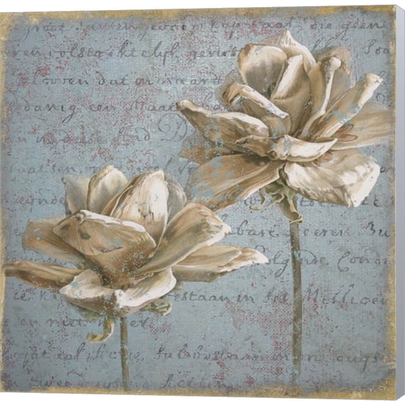 Seed Pod II no Stamp by Beth Grove, Canvas Wall Art