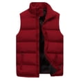 thumbnail image 3 of Blekii Men's Sleeveless Puffer Vest, Solid Color Quilted Insulated Layer, Zipper Front Collarless Top, Unisex Winter Fashion Vest, Light Warmth for Layering, Versatile Piece for, 3 of 5