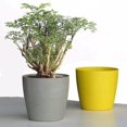 thumbnail image 5 of Nordic Style Flowerpot Plant Container Planting Tool Home Garden Decoration Jikaix_Gift Of G, 5 of 5