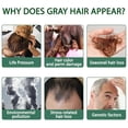 thumbnail image 3 of Black Hair Spray Dense Nourishing Roots Shine Smooth Natural Black Hair Cover White Hair Conditioner Spray, 3 of 5