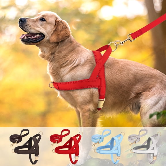 Pet Artist No-Pull Pet Harness and Leash Set, Breathable Mesh & Padded Vest, Front Clip, Adjustable PU Leather with Metal Buckle for Small to Large Dogs