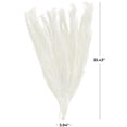 thumbnail image 3 of 35" Tall Grass Dried Plant Natural Foliage Feather Like Leaves Bouquet with Stems, by DecMode, 3 of 7