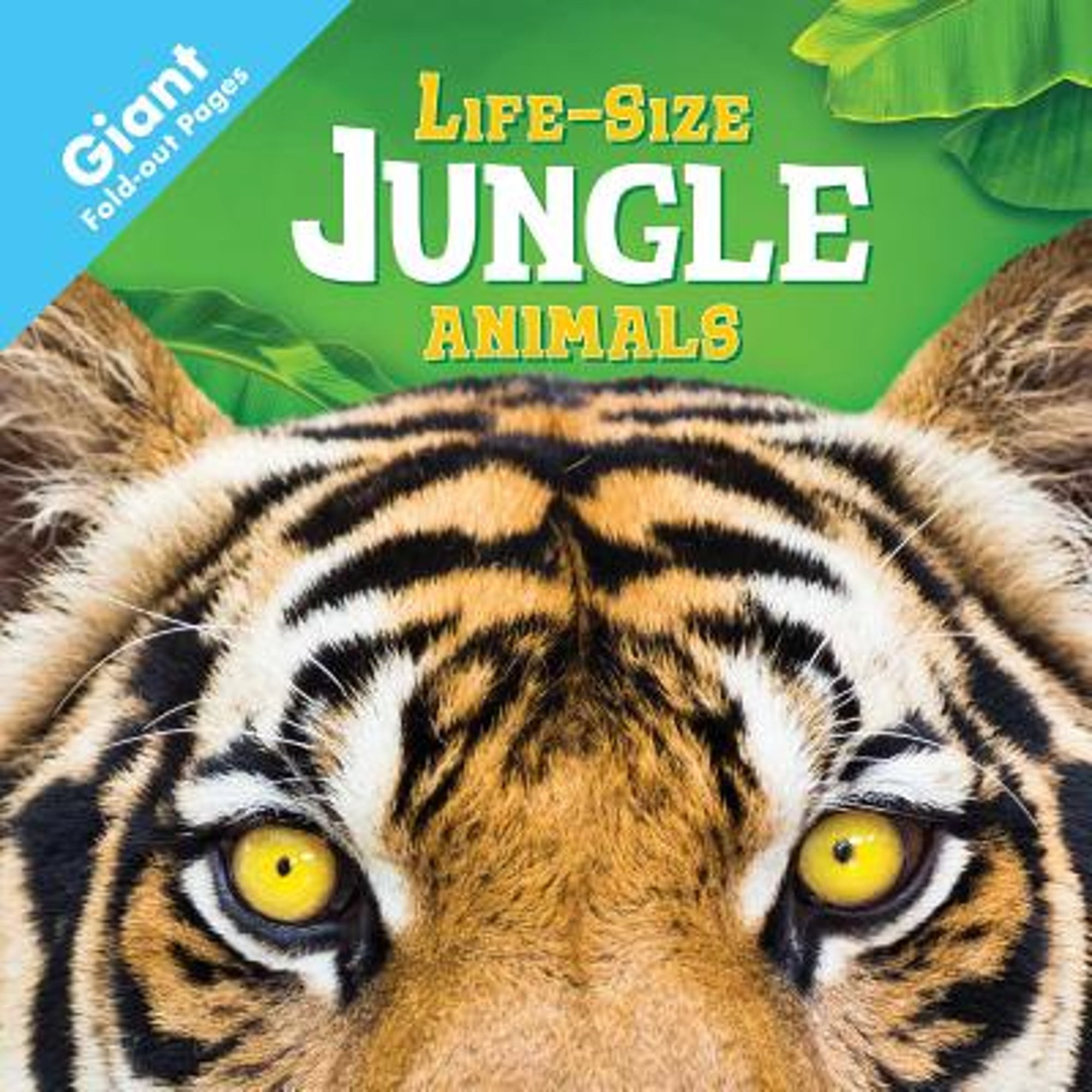 Jungle Animals (Pre-Owned Hardcover 9781499881868) by Igloobooks -  