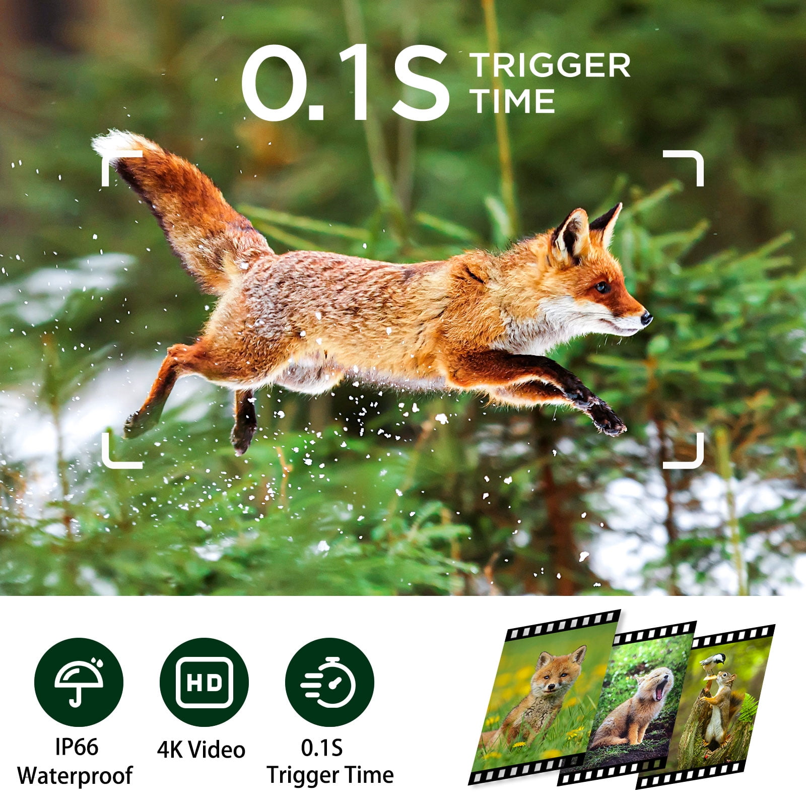 Campark TC33 Trail Camera 4K 48MP Deer Game Hunting Camera with Infrared Sensors Motion Activated Night Vision Waterproof for Wildlife Trail Monitor