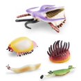 thumbnail image 5 of Cambrian Animal Model Decoration Realistic Ornamental Cambrian Ancient Marine Animals Statue Ornament, 5 of 5