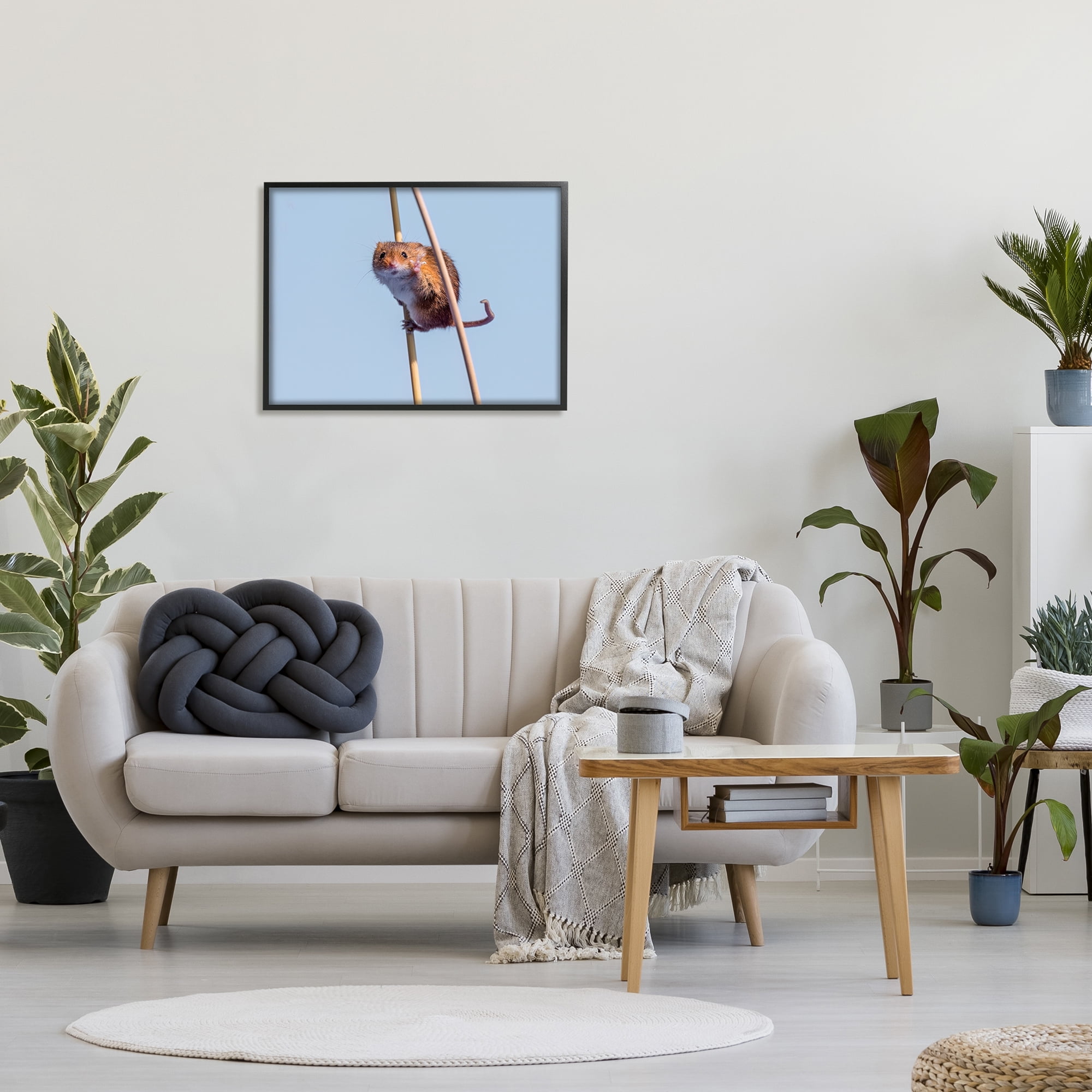 Stupell Industries Funny Balancing Mouse Animals & Insects Photography Black Framed Art Print Wall Art, 30 x 24