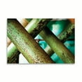 thumbnail image 2 of Gango Home Decor Cross Section by Dana Styber (Printed on Paper); One 36x24in Fine Art Paper Giclee Print, 2 of 4