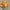 G, variant on InsCrazy Artificial Flowers Artificial Artificial Flower Daisy Flowers Header Wedding Home Party Decoration Flowers Indoor and Outdoor Decorative Crafts Fake Flowers Summer Savings
