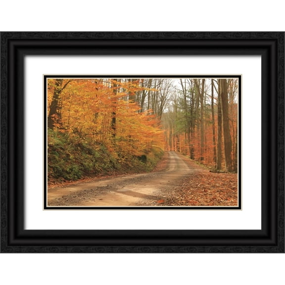Deiter, Lori 14x11 Black Ornate Wood Framed with Double Matting Museum Art Print Titled - Fall Beauty I